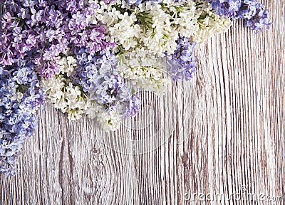 Lilac flowers on wood background, blossom branch on wood Stock Photo