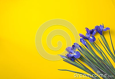 flower composition. top view Stock Photo