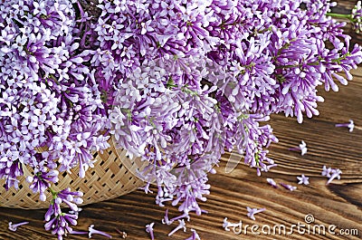 Lilac oval basket top Stock Photo