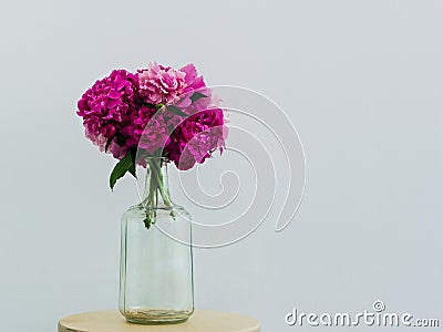 Lilac peonies in a glass bottle Stock Photo