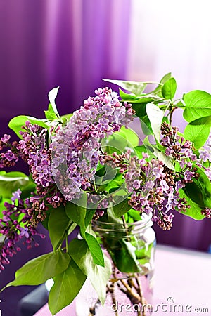 Lilac flower bouquet on purple background Stock Photo