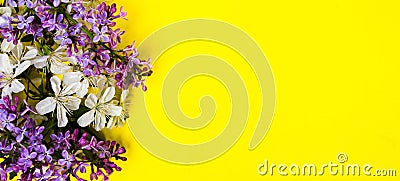 Lilac and spring blossom flowers on yellow background Stock Photo