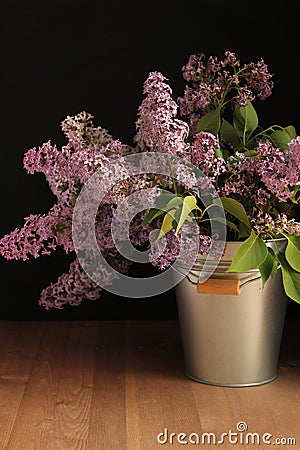 Lilac. Still life with lilacs in a metal bucket. Low key. Stock Photo