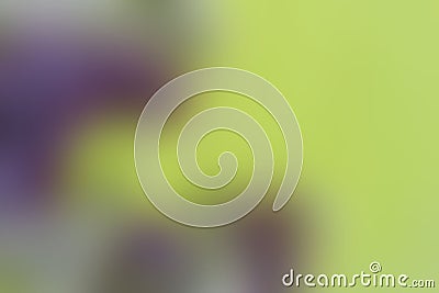 Lilac-yellow unfocused abstract background. Stock Photo