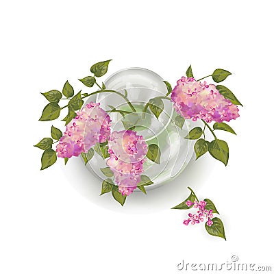 Lilacs in Vase Vector Illustration