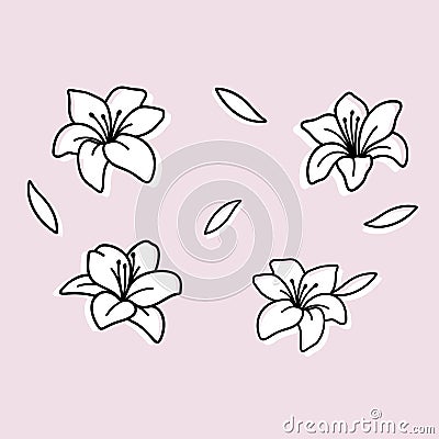 Lilies flower set Vector Illustration