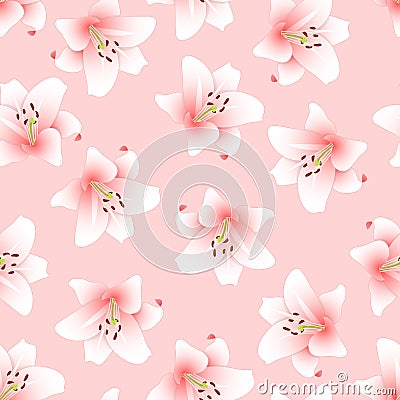 Lilium candidum, the Madonna lily or Pink Lily on Light Pink Background. Vector Illustration Vector Illustration