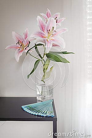 The Lilium species, called lilies or lilies, constitute a genus with around Stock Photo