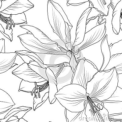 Lilly flowers closeup seamless pattern hippeastrum Vector Illustration
