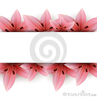 Lily Banner Vector Illustration