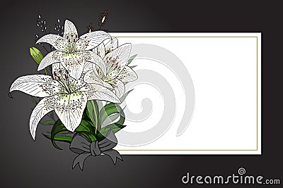 Lily bouquet on black background vector template Vector Illustration