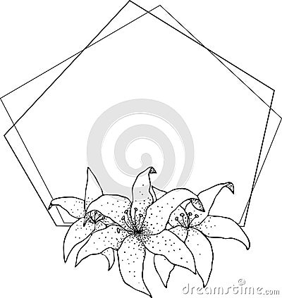 Lily frame, flowers drawing and sketch with line-art on white backgrounds Stock Photo