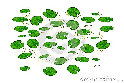 Lily pads isolated on white background. Lotus leaf pattern. Water lilies leaves. Vector Illustration