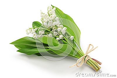 Lily of the valley posy Stock Photo