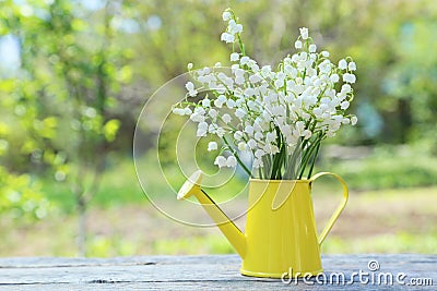 Lily of the Valley Stock Photo