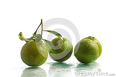 Limao-cravo. Brazilian Clove Lemon Stock Photo