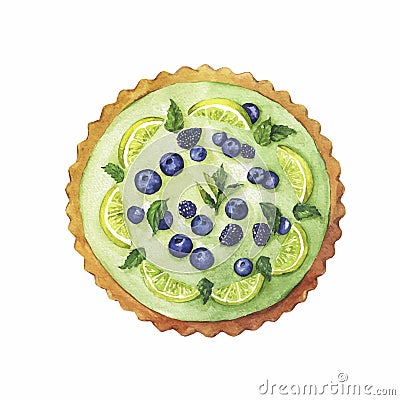 Lime and berryy cake. Hand drawn illustration. Vector Illustration