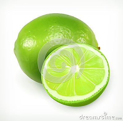 Lime, citrus fruit icon Vector Illustration