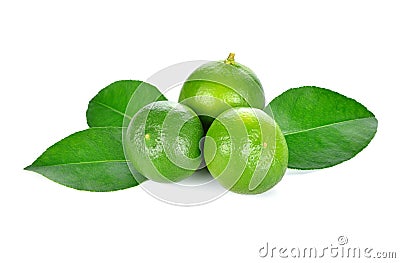 Lime. fruit with a half Stock Photo