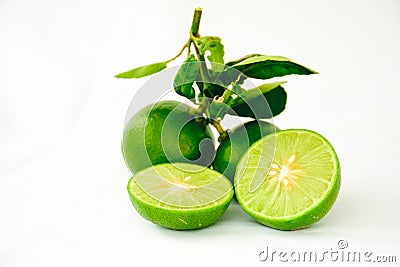 Lime Stock Photo