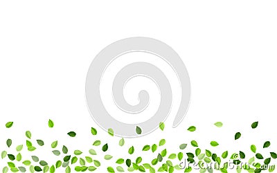 Lime Leaf Spring Vector Branch. Ecology Greens Vector Illustration