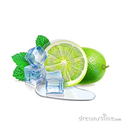 Lime with mint or tea leaves and ice cube ssliced lime, leaves, puddle water 3d realistic Vector Illustration