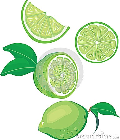 Lime mix Vector Illustration