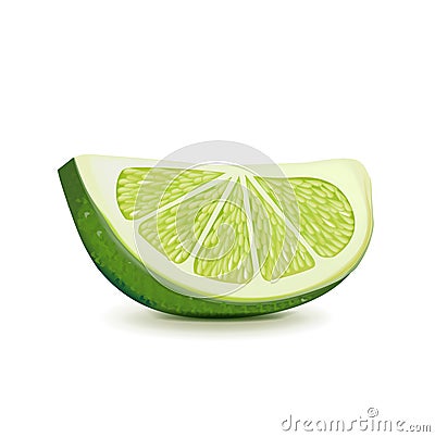 Lime slice isolade on white Vector Illustration
