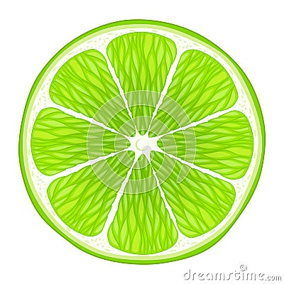 Lime slice isolated on white background. Vector Illustration