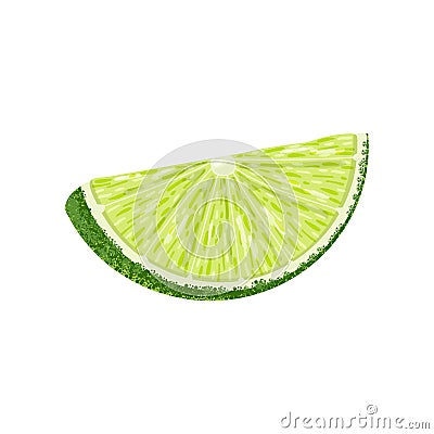 Lime slice isolated on white. Vector Illustration