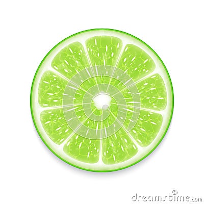 Lime slice Vector Illustration