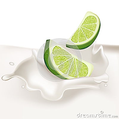 Lime slices falling in cream splash Vector Illustration