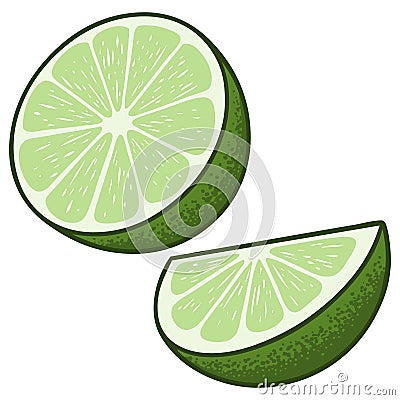 Lime Slices Vector Illustration