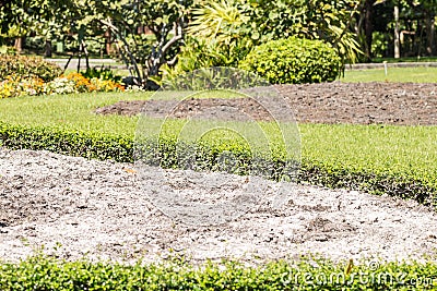 Lime on the soil in the garden. Stock Photo
