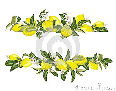 Lime template frame border wth citrus fruits and flowers on the Stock Photo