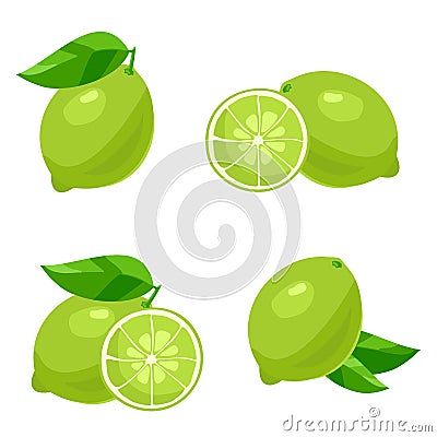 Lime. Vector Vector Illustration