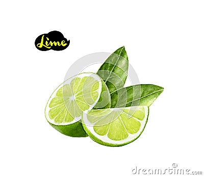 Lime watercolor illustration Cartoon Illustration