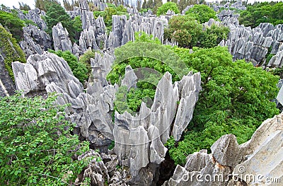 Limestone forest at Kunming Stone forest or Shilin Stock Photo