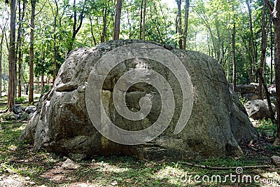 Big Triassic age limestone gray type Biomicrite, in the forest park. Stock Photo