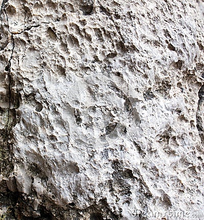 Limestone texture Stock Photo