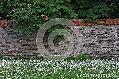 Limestone wall Stock Photo