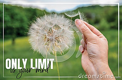 Only limit is your mind. Hand holding Dandelion flower, close up photography, banner design, poster design. Motivational quotes Stock Photo