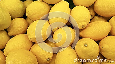 Limon lemon citrus Stock Photo