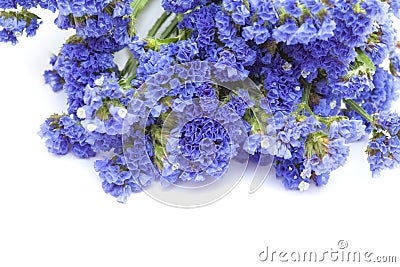 Limonium sinuatum, statice Stock Photo