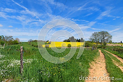Landscape French Limousin with seed Stock Photo