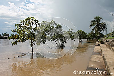 limping rivel water sky tree blue Stock Photo