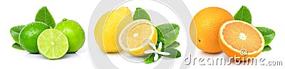 Citrus fruit orange, lime, lemon isolated on white Stock Photo