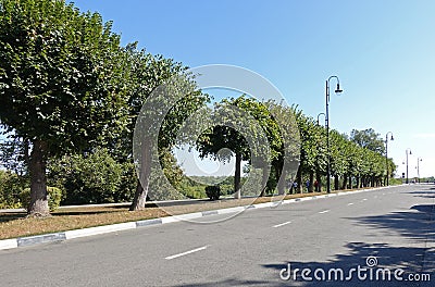 Linden alley on the tambov embankment on the banks Stock Photo