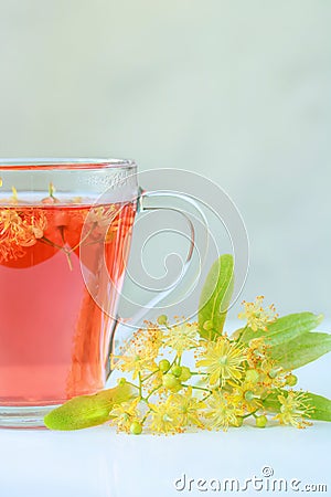 linden herbal tea in a transparent cup on a gray background Stock Photo