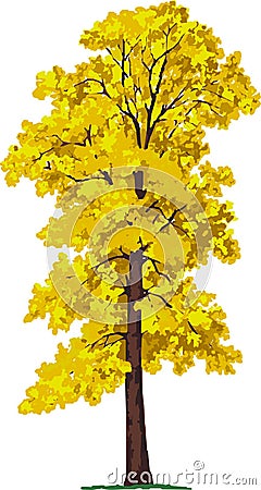 Linden tree. Vector Cartoon Illustration